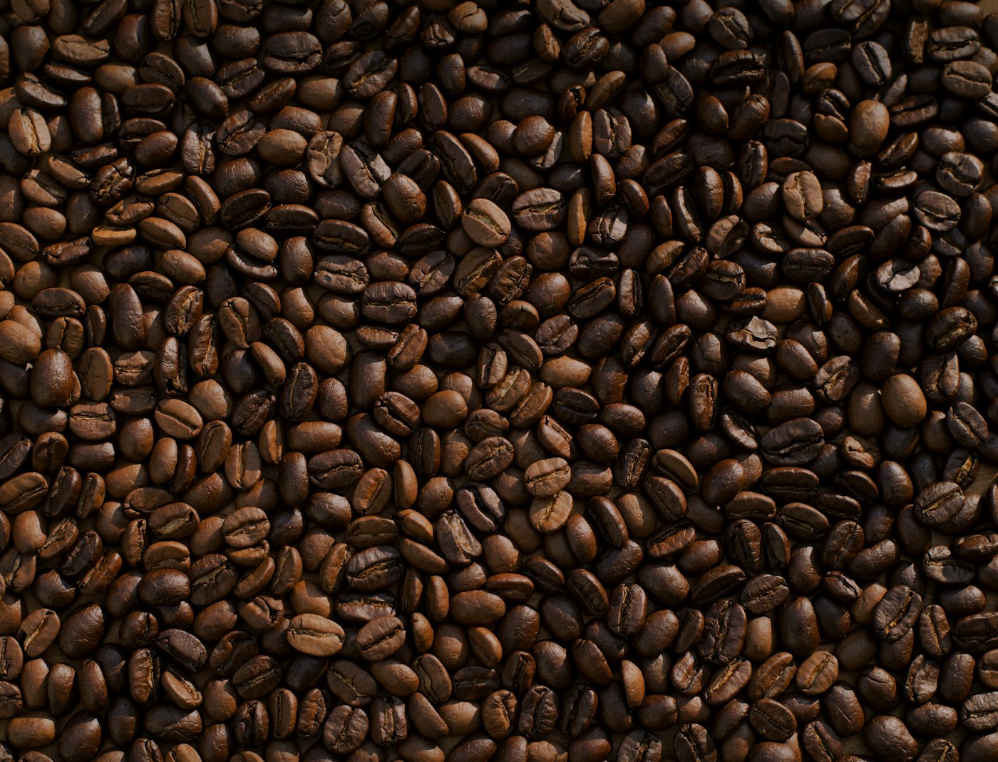 Roasted coffee beans cooling after drop point